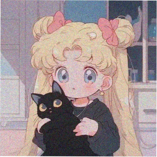 高清影院留言板读者头像：猫与画稿
